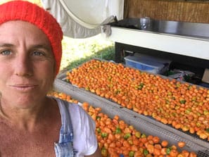 Open Ridge Farm Open Ridge Hot Sauce Trio