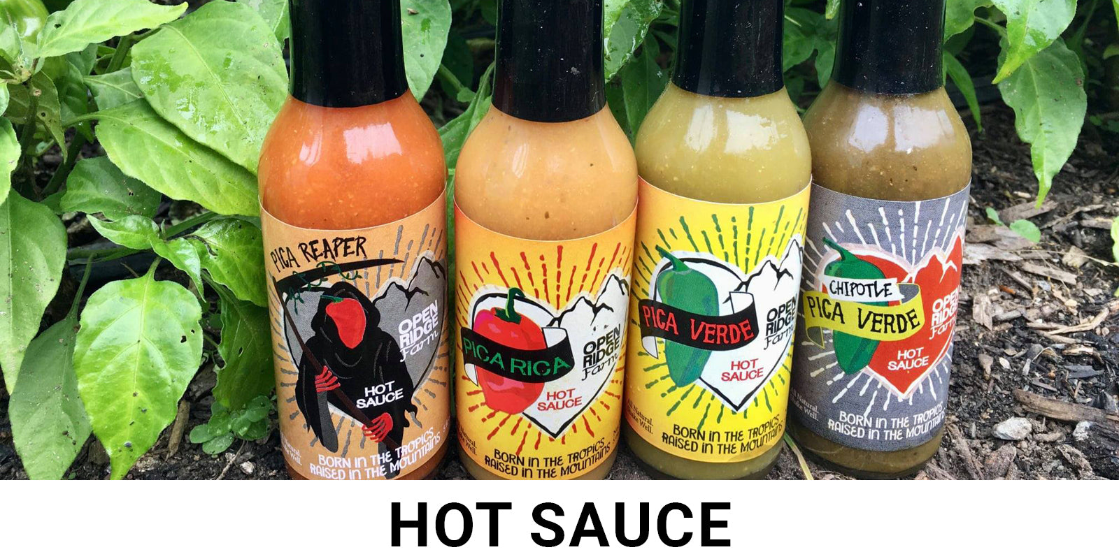 Hot Sauce