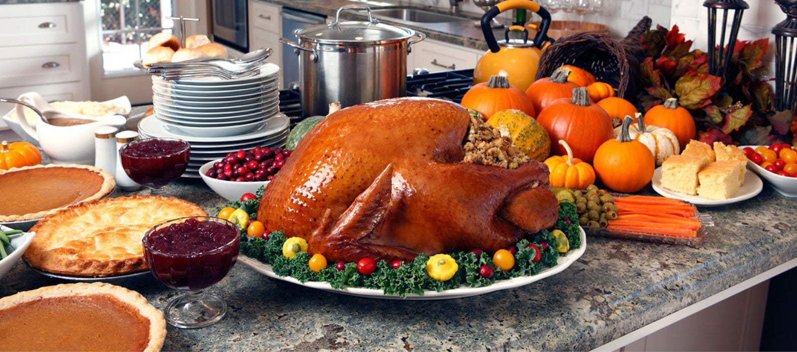 Thanksgiving Image of Turkey