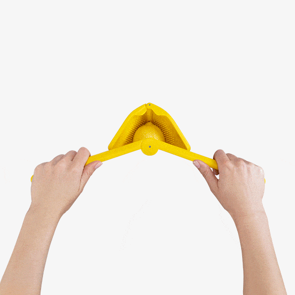 Dreamfarm Fluicer - Lemon Press