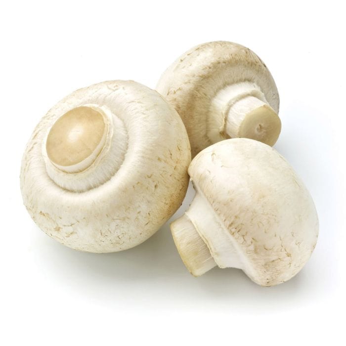 Mushroom Brush - Fruit & Vegetable Tool