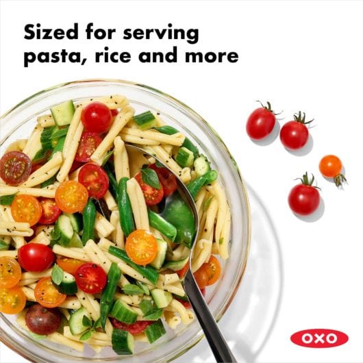 OXO Stainless Steel Spoon - Serving Spoon