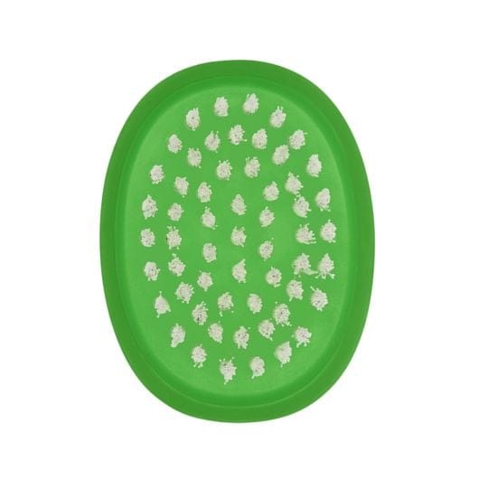 OXO Vegetable Brush - Brushes