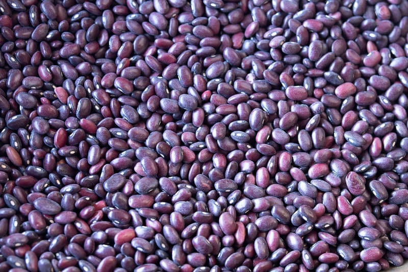 Rancho Gordo Domingo Rojo Beans 1 lb - Beans