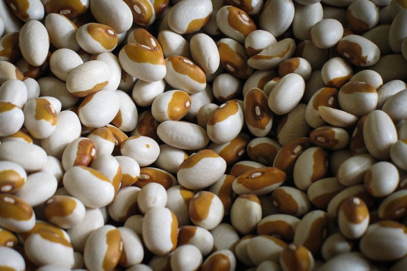 Rancho Gordo Yellow Eye Beans 1 lb - Beans