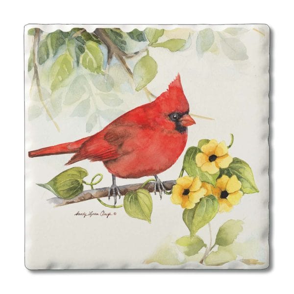 Thirstystone Thirstystone Cardinal Decorative Coasters