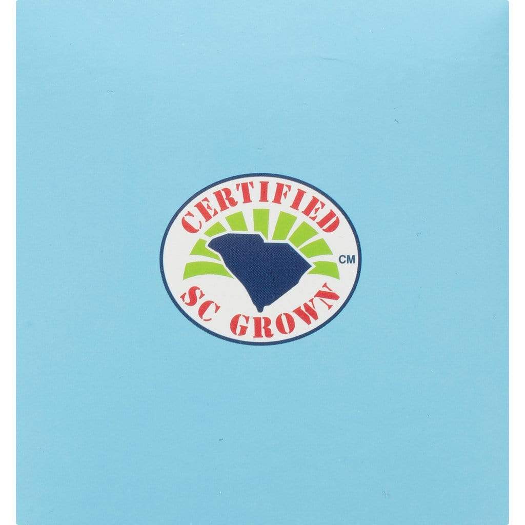 Charleston Tea Plantation Charleston Tea Plantation American Classic Tea Pyramids