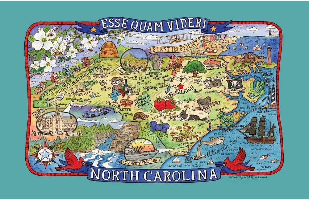 Galleyware North Carolina Adventure Destinations Tea Towel