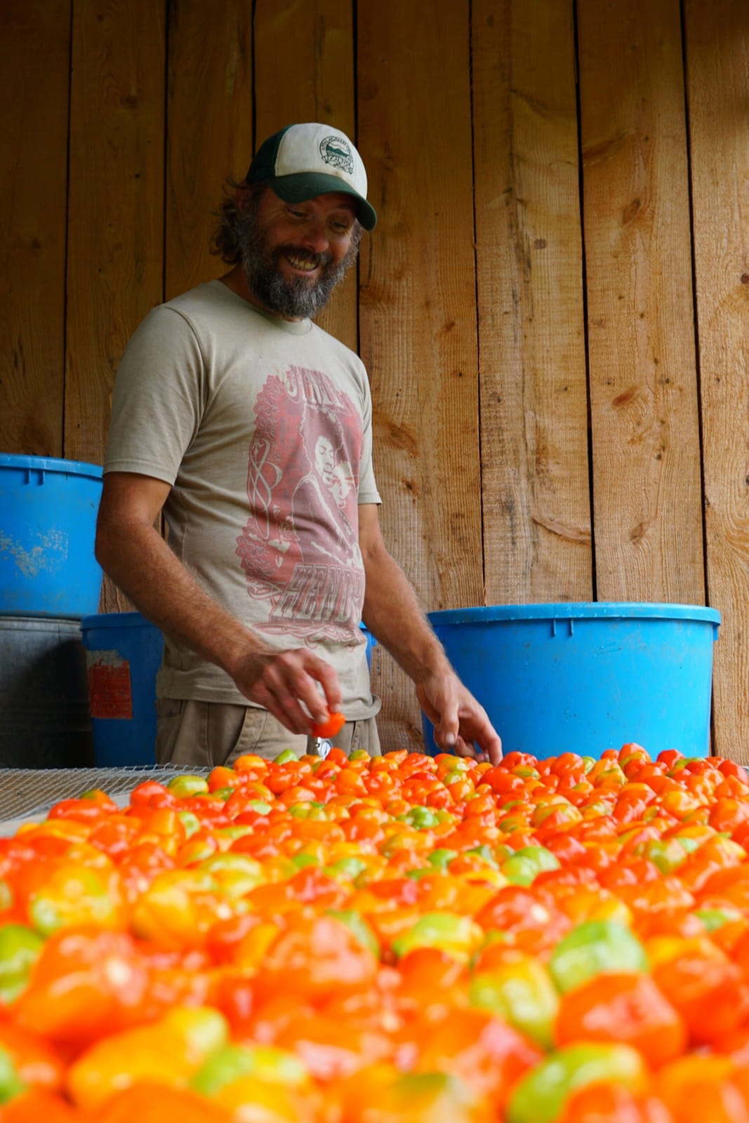Open Ridge Farm Open Ridge NC Hot Sauce Trio