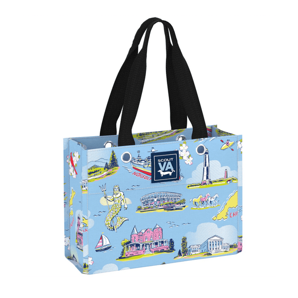 SCOUT Tiny Package Gift Bag Virginia Southern Season